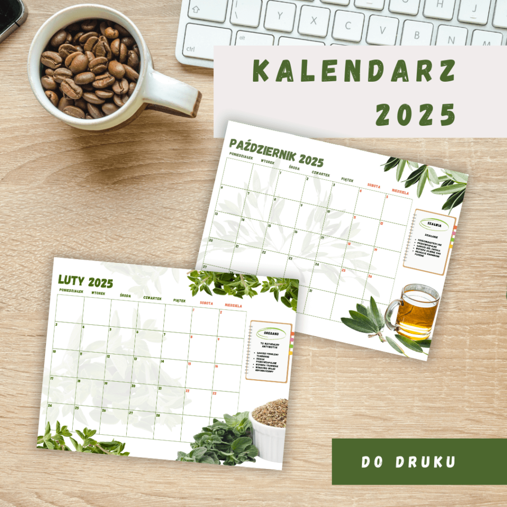 Portfolio kalendarz ziola